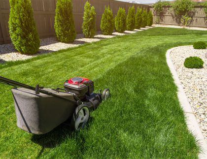 lawn care tips from the pros